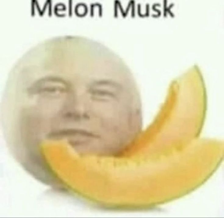 Melon Musk meme with a face composited onto a melon